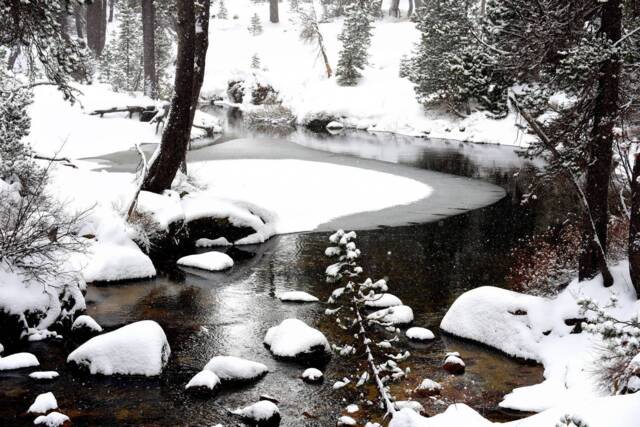 Winter Wonderland, Nature Decor, Nature, Pictures, Winter, Snow, Snow Art, Wall Print - image 1