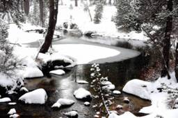 Winter Wonderland, Nature Decor, Nature, Pictures, Winter, Snow, Snow Art, Wall Print - thumbnail 1
