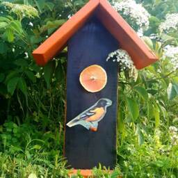 Oriole Bird Feeder, Bird Watching, Hanging Oriole Double Sided Orange Feeder - thumbnail 2