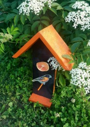 Oriole Bird Feeder, Bird Watching, Hanging Oriole Double Sided Orange Feeder