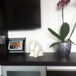 White Bull Terrier Sculpture Gypsum Cast Dog Lover Gift - thumbnail 4