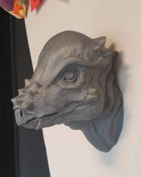 Pachycephalosaurus Wall Art - Dinosaur Mount 3D Printed - thumbnail 1