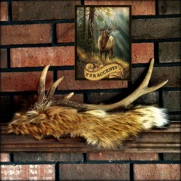 Faux Fur Coyote Pelt - Plush Usa Made, Shelf Decor