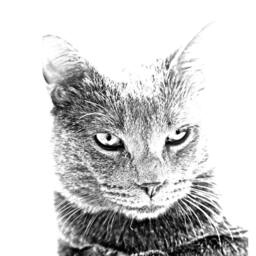 Chartreux - Wooden Stand For Candles/Pens With The Image Of A Cat New Collection - thumbnail 2