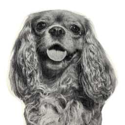Cavalier King Charles Pillow, Black & White Silkscreen, Dog Lover Gift - thumbnail 3