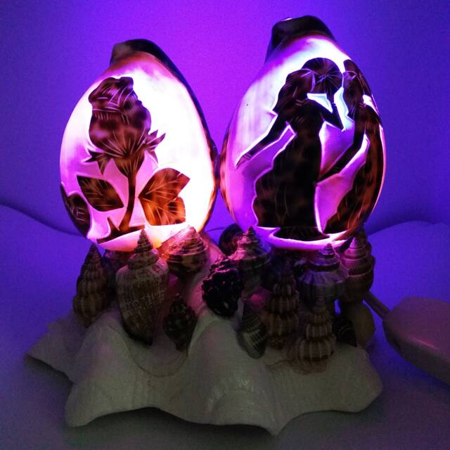 Bedroom Night Light, Seashell Natural Shell, Light Lamp, Home Ocean Nursery Art - image 1