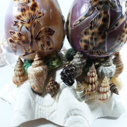 Bedroom Night Light, Seashell Natural Shell, Light Lamp, Home Ocean Nursery Art - thumbnail 4