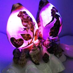 Bedroom Night Light, Seashell Natural Shell, Light Lamp, Home Ocean Nursery Art - thumbnail 3