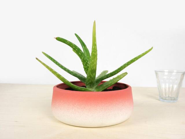 Handmade Porcelain Flowerpot, Rotating Modern Planter, Matte Glaze - image 1