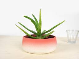 Handmade Porcelain Flowerpot, Rotating Modern Planter, Matte Glaze - thumbnail 1
