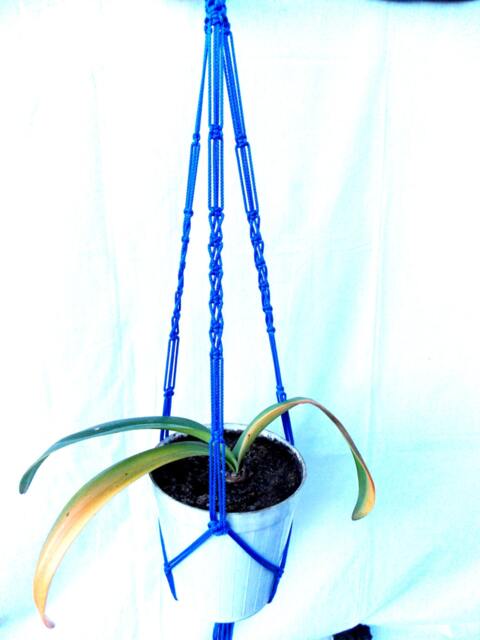 Blue Macrame Plant Hanger 28 Inches 3mm - Gift Idea Indoor Outdoor Hanging Planter Macrame Plant Holder Wall Hanging - image 1