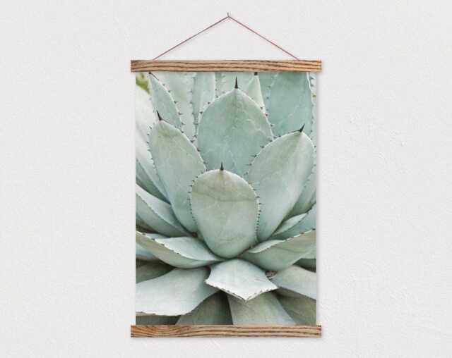 25 Inch Poster Hanger - Native Succulent Canvas Print With Wood Hanger-Farmhouse Sign - Gift For Her - Farmhouse - image 1