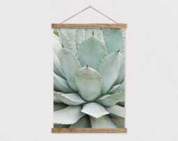25 Inch Poster Hanger - Native Succulent Canvas Print With Wood Hanger-Farmhouse Sign - Gift For Her - Farmhouse - thumbnail 1
