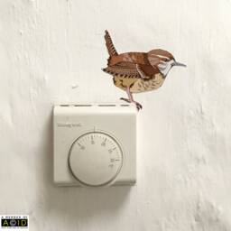 Wren Wall Decal, Woodland Sticker, Kitchen Farmhouse Decor - thumbnail 2
