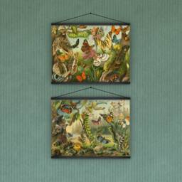 Bug Lover, Gift For Gardener, Butterfly, Caterpillar, Cocoons, Insects, Creepy Crawlers, Antique, Grasshoppers, Beetles, Wall Hanging - thumbnail 4