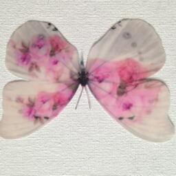 Shabby Chic Pink Cabbage Rose 3D Butterfly Wall Art - Set Of 4 - thumbnail 3