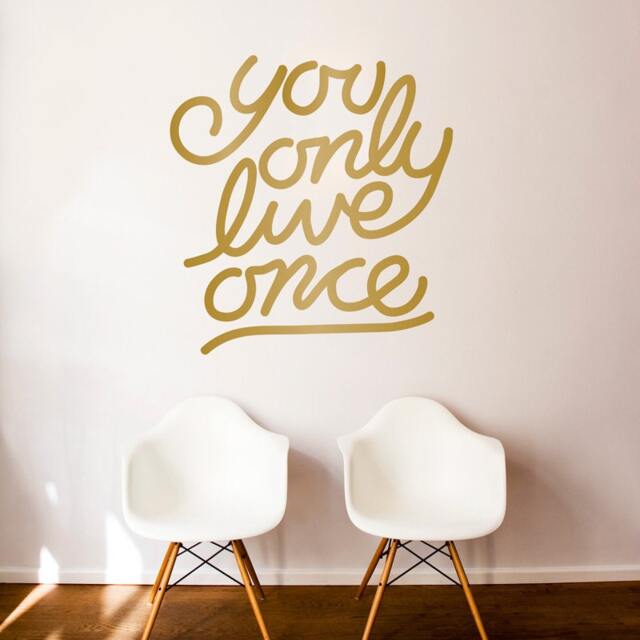 You Only Live Once Vinyl Wall Decal - Yolo Home Decor - image 1