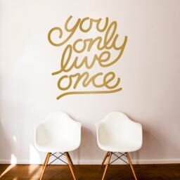 You Only Live Once Vinyl Wall Decal - Yolo Home Decor - thumbnail 1