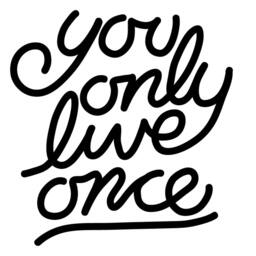 You Only Live Once Vinyl Wall Decal - Yolo Home Decor - thumbnail 3