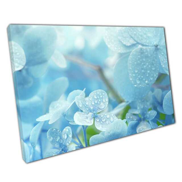 Blue Hydrangea Wall Art Print Macro Photography With Water Droplets Home Or Office Decor - image 1