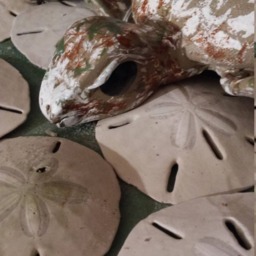 Baby Sea Turtles Hand Made.with Clay & Sea Shells From The Ocean Using A Sand Dollar - Sea Urchin As Main Body, Unique, One Of Kind - thumbnail 2