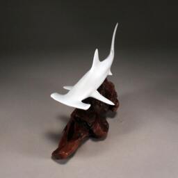 Hammerhead Shark Sculpture By John Perry 12 Inch Long On Polished Burlwood Base. Signed - thumbnail 3