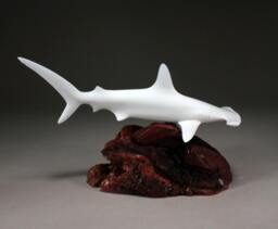 Hammerhead Shark Sculpture By John Perry 12 Inch Long On Polished Burlwood Base. Signed - thumbnail 1