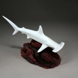 Hammerhead Shark Sculpture By John Perry 12 Inch Long On Polished Burlwood Base. Signed - thumbnail 4