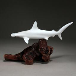 Hammerhead Shark Sculpture By John Perry 12 Inch Long On Polished Burlwood Base. Signed - thumbnail 2