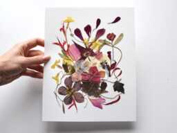 Pressed Flower Wall Art Real Wildflower Herbarium On Watercolor Paper - thumbnail 1