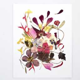 Pressed Flower Wall Art Real Wildflower Herbarium On Watercolor Paper - thumbnail 3
