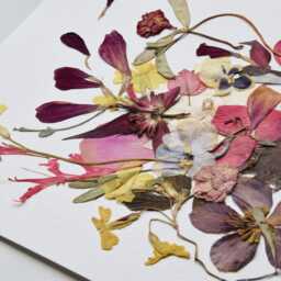 Pressed Flower Wall Art Real Wildflower Herbarium On Watercolor Paper - thumbnail 2
