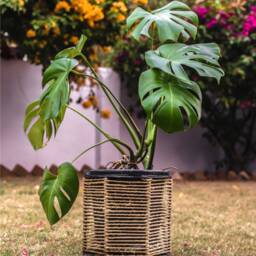 Cute Handmade Planter Trending D??cor Handicrafts For Lawn Decoration Macrame Unique Decor - thumbnail 4