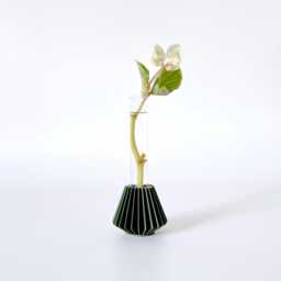 Green Propagation Station/Plant & Floral Bud Vase 3D Printed Hanok Mini - thumbnail 1