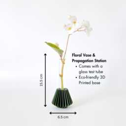 Green Propagation Station/Plant & Floral Bud Vase 3D Printed Hanok Mini - thumbnail 3