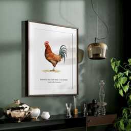 Rhode Island Red Cockerel Wall Print, Farmhouse Style Prints, Chicken Art, Bird Gifts, Decor - thumbnail 3