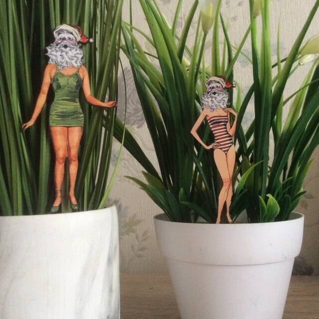 Christmas Plant Buddy, Santa Decor, Cross Dressing Santa Gifts, Plant Lover Gift, Santa Buddy, Risqu?? Decor, Secret Gifts - image 1