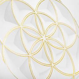 Circle Of Life, Framed 3D Art, Minimalist Wall Sculpture, Layered Paper Decor, Hanging, Design, Creation - thumbnail 3
