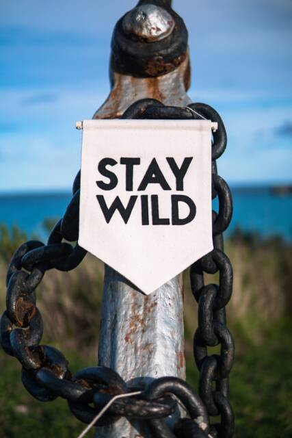 stay Wild Wall Hanging Banner - Hand Made & Embroidered - image 1
