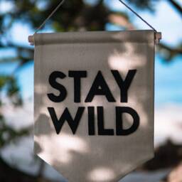 stay Wild Wall Hanging Banner - Hand Made & Embroidered - thumbnail 3