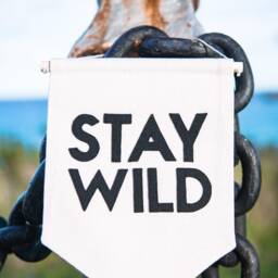 stay Wild Wall Hanging Banner - Hand Made & Embroidered - thumbnail 2