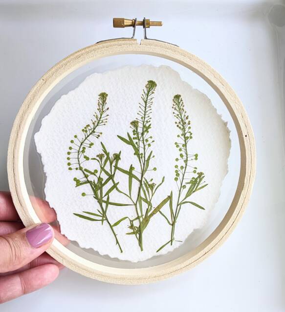 Framed Flowers Wall Art, Green Flowers, Hoop Art Decor, Botanical Gifts, Floral Arts, Flower Nature Lovers Gift - image 1