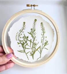 Framed Flowers Wall Art, Green Flowers, Hoop Art Decor, Botanical Gifts, Floral Arts, Flower Nature Lovers Gift - thumbnail 1