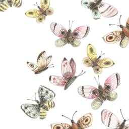 Wall Stickers Painted Butterflies Nursery Decal Kids Wallstickers Colorful Decals Girls Room Decoration - thumbnail 2