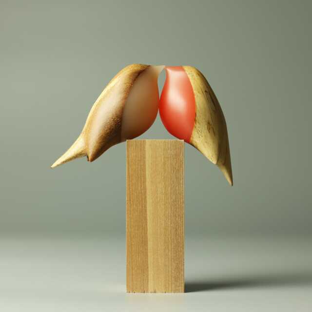 Love Robins - 310 - image 1