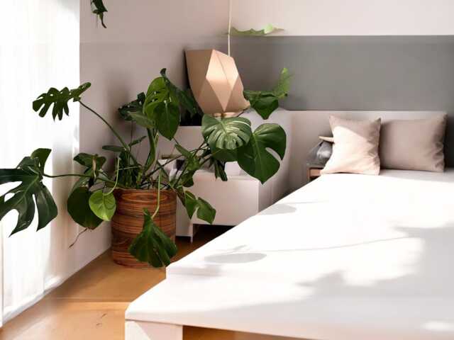Handmade Wooden Decorations - Natural Wood Plant Covers & Custom Designs By Sponndesign - image 1
