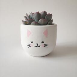 Cat Concrete Succulent Planter, Minimalist Home Decor