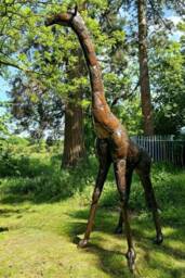 Large Recycled Metal Giraffe Garden Sculpture, Statue, Ornament - thumbnail 4