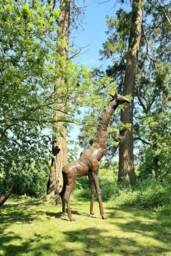 Large Recycled Metal Giraffe Garden Sculpture, Statue, Ornament - thumbnail 1