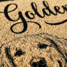 Personalized Golden Retriever Doormat - Up To 4 Dogs, Custom Pet Portrait Welcome Mat - thumbnail 3